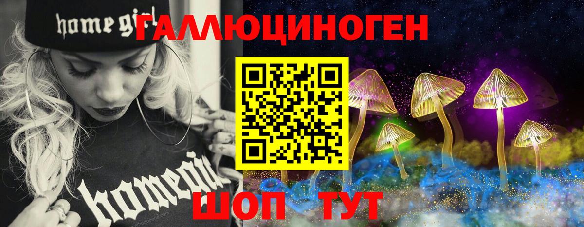 Псилоцибиновые грибы Psilocybine cubensis Салехард