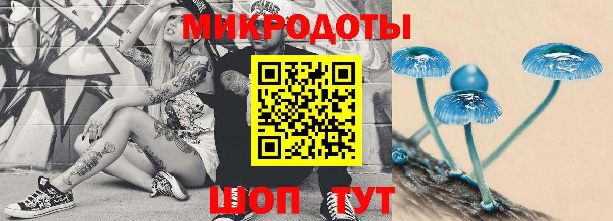 Псилоцибиновые грибы мухоморы  Вход с VPN  Псилоцибиновые грибы мицелий  Салехард 